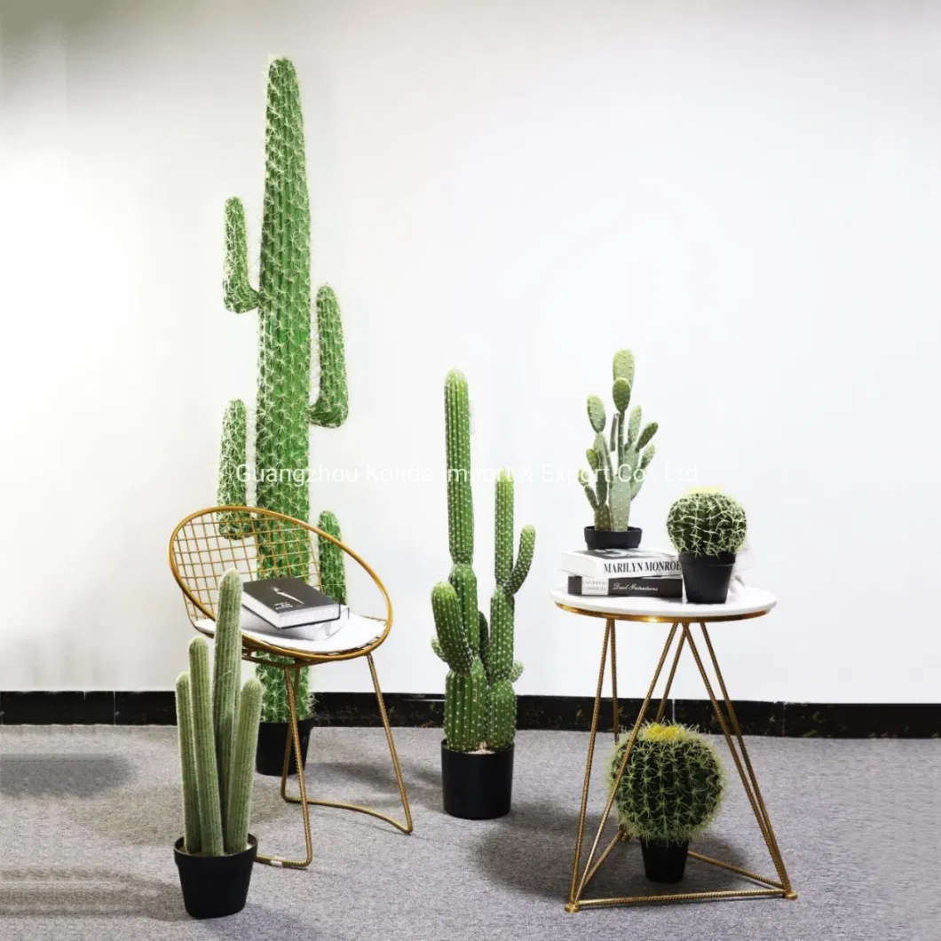 Garden Decoration Succulent Artificial Cactus