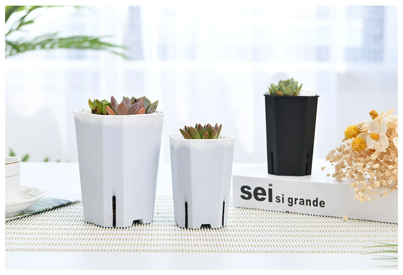 9*12.5cm Small Clear Transparent Tall Square Plastic Succulent Cactus Flower Nursery Pot