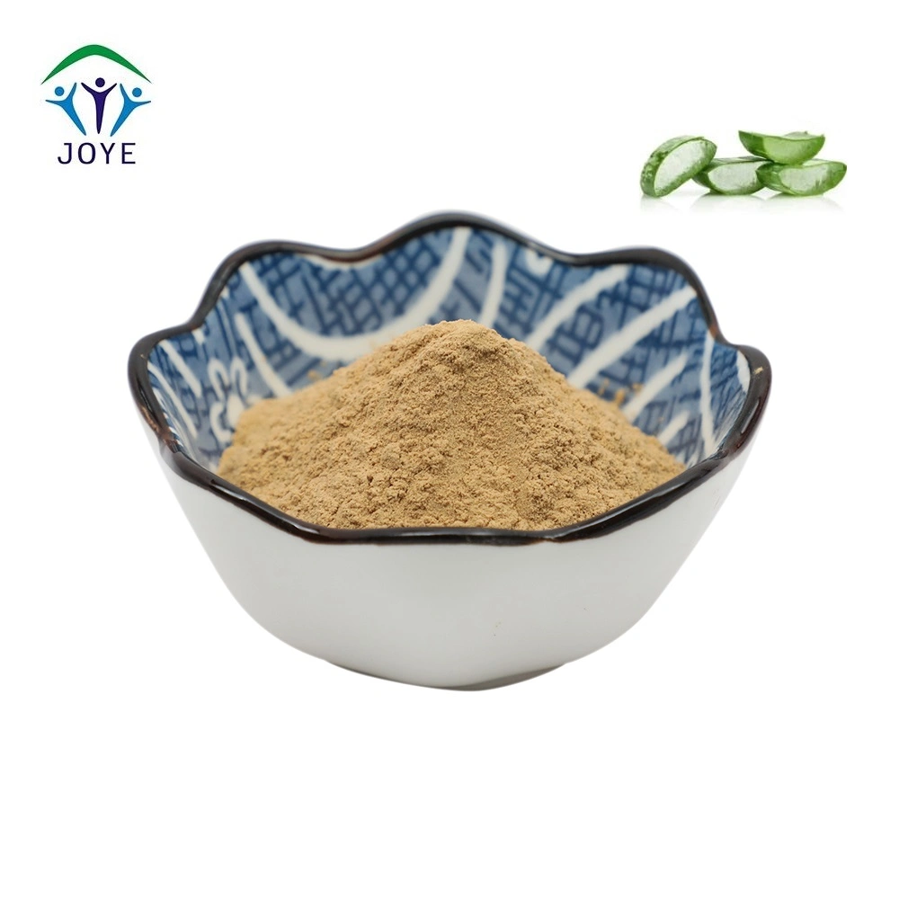 Aloe Vera Extract Powder Aloin 40% CAS 5133-19-7