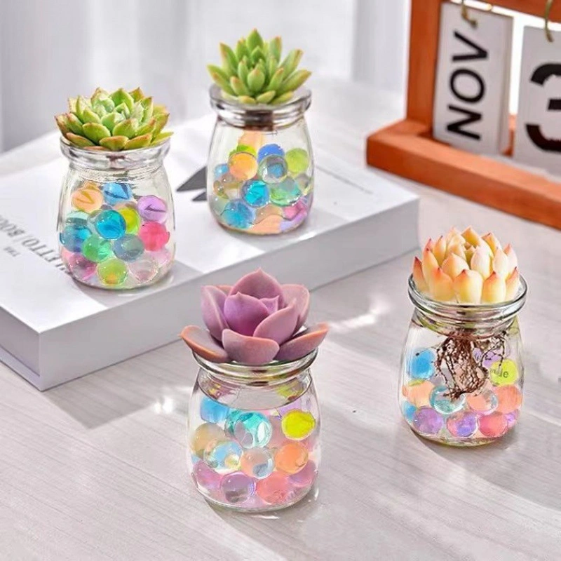 Succulent Plant Hydroponic Clear Bud Vases Mini Glass Flower Vases Dormitory Office Home Table Decor