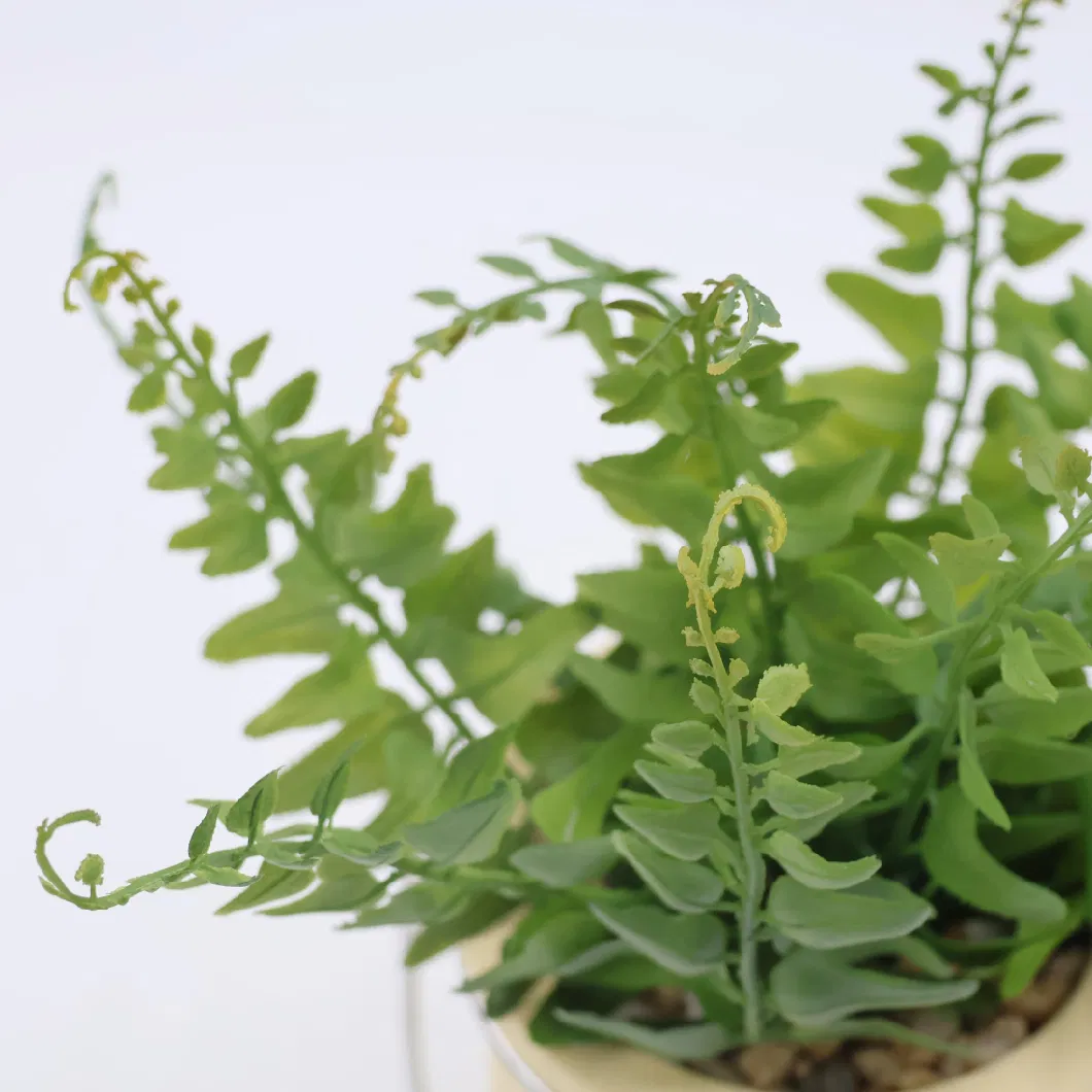 Natural Preserved Artificial Plant Dome Decorative Plant Bonsai Live Home Lifestyle