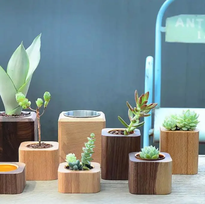 Waterpfoof Black Walnut Wood Desktop Decoration Wooden Plant Succulent Flower Pot with Aluminum Can