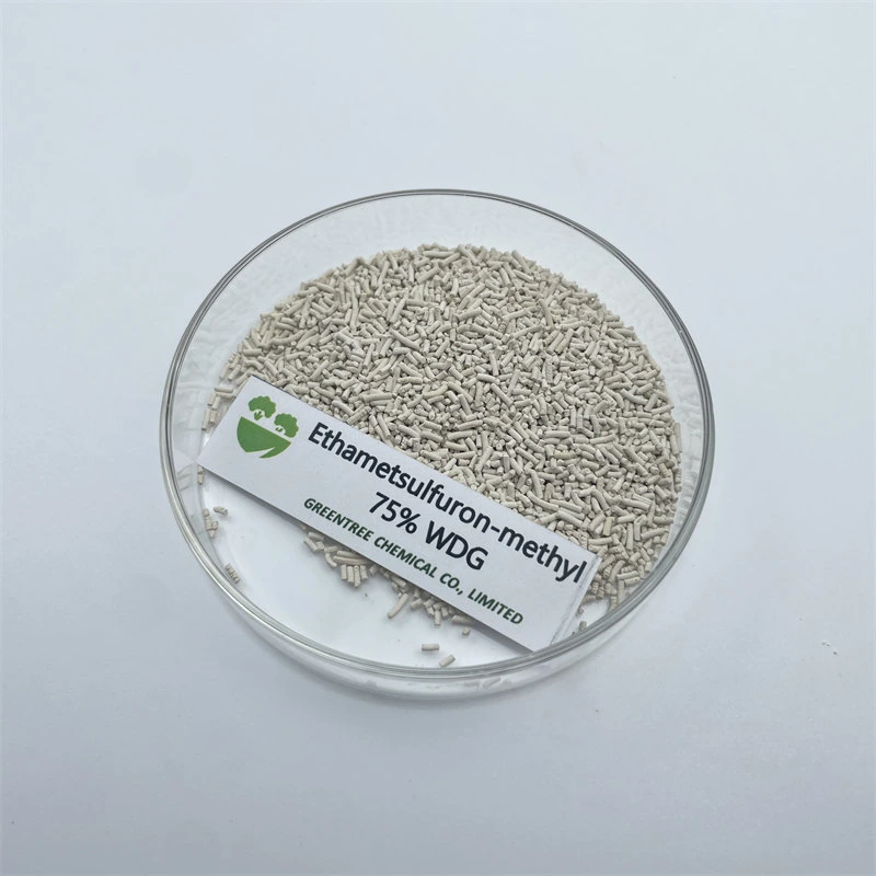 CAS 97780-06-8 Herbicide Ethametsulfuron-Methyl 75% Wdg