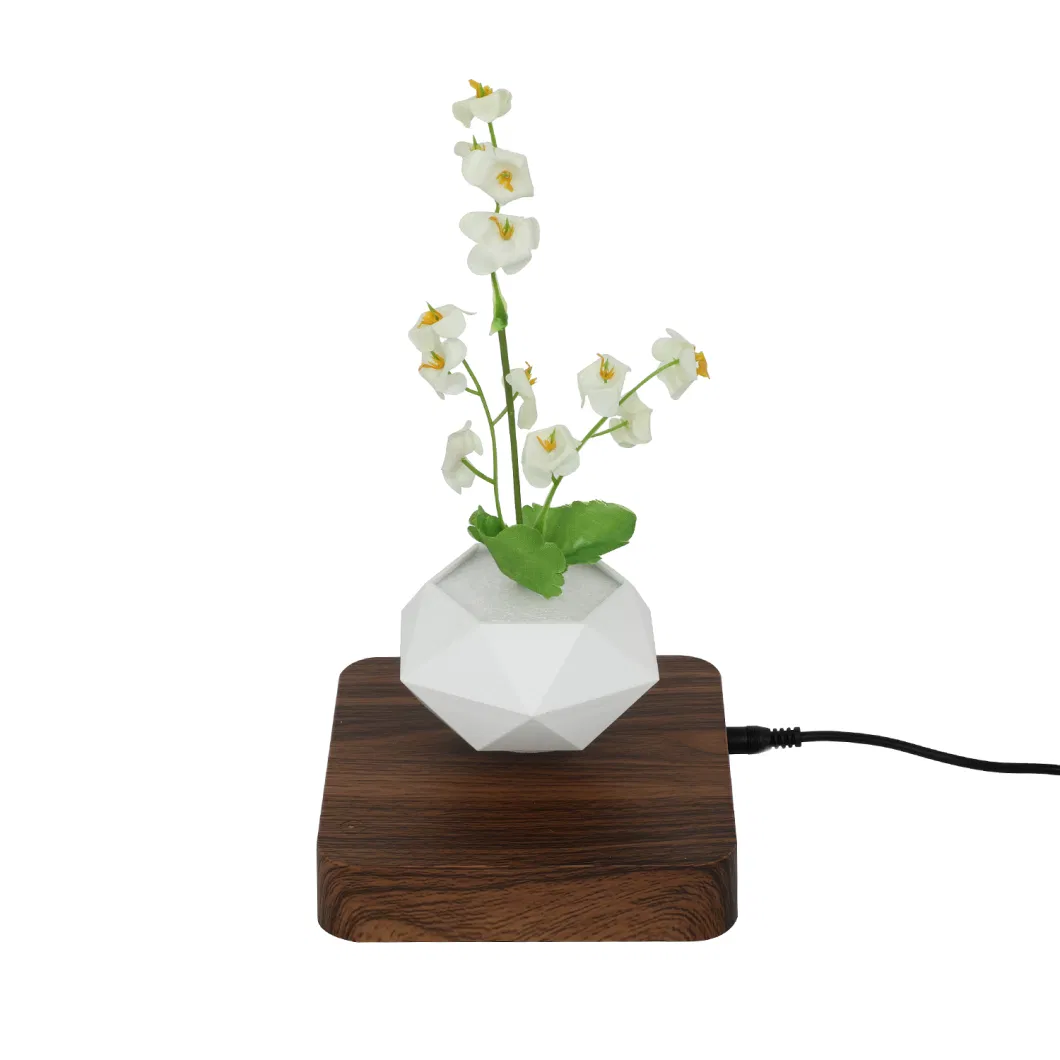 Wholesale Magnetic Levitation Floating Air Bonsai Plant Pot for Decoration Gift