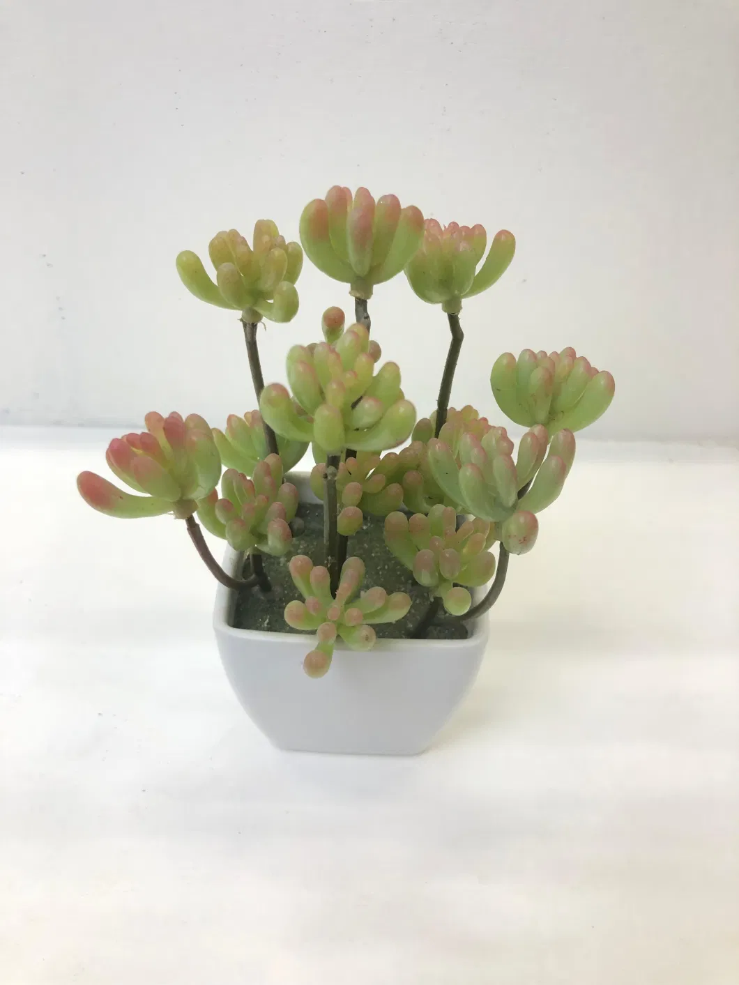 Colorful Plastic Decorative Artificial Succulent Plants for Home Office Table