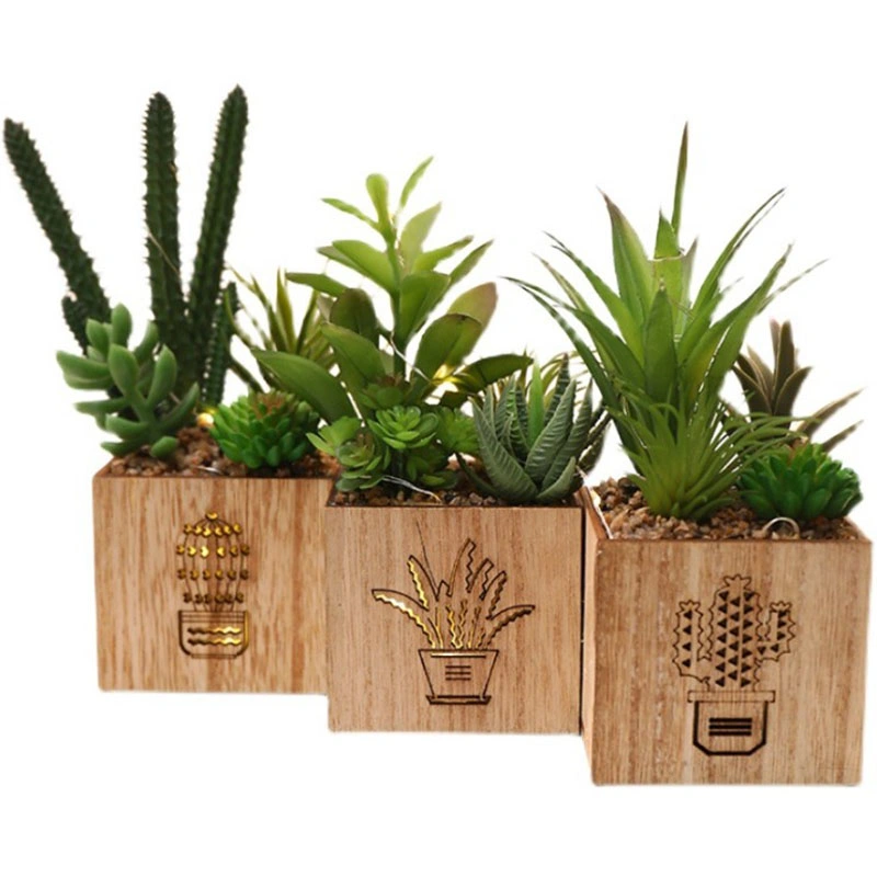 Set of 3 Artificial Succulents with LED Lights Wooden Box