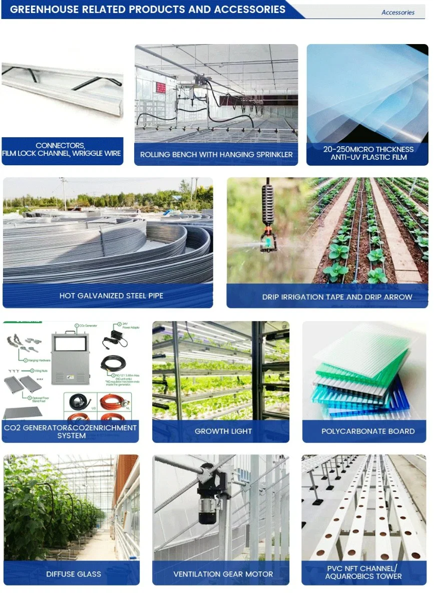 Complete Set of Greenhouse Frames Made of Galvanized Steel for Placing Succulent Plants