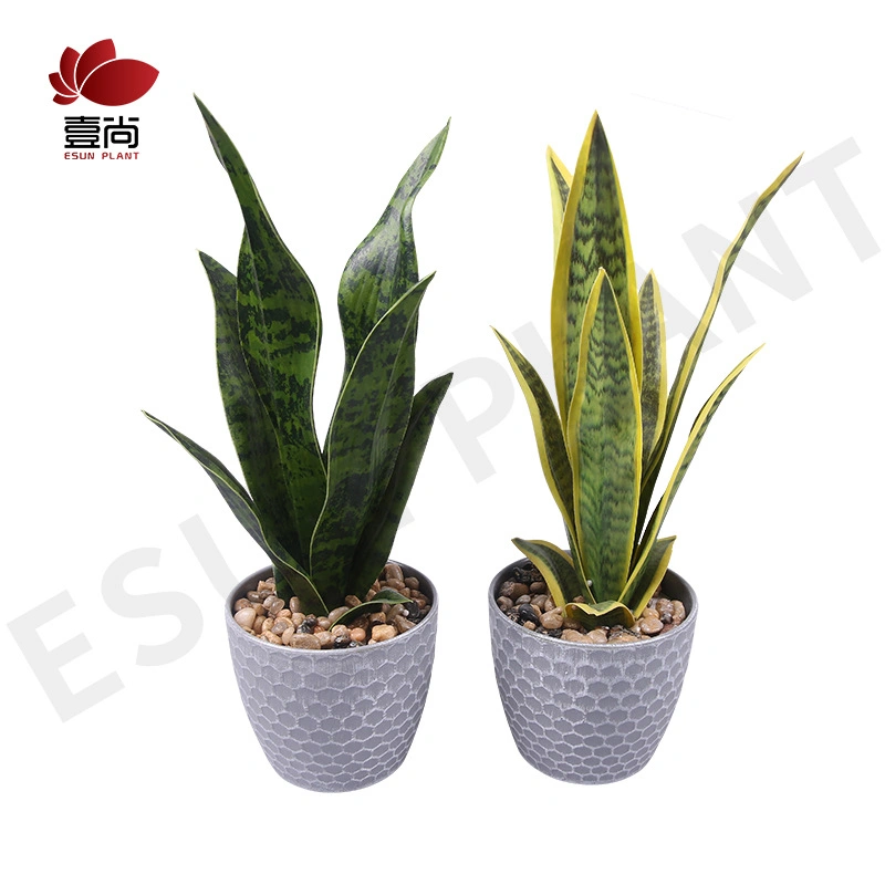 Imitation Succulent Plant Orchids Decorative of Plastic Bonsai