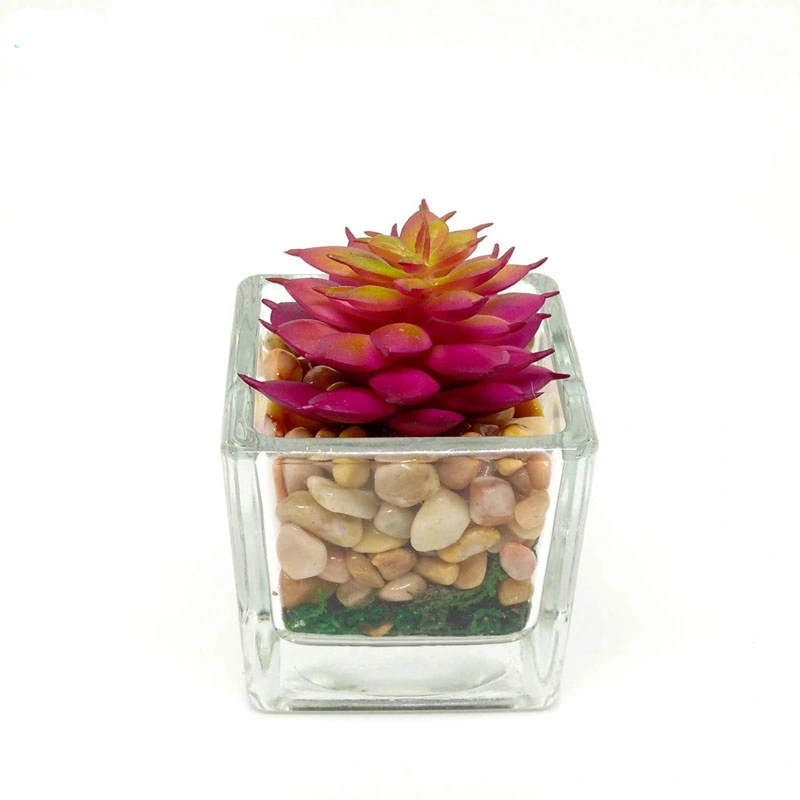 Small Glass Cube Artificial Succulent Planters 4 Set Assorted Faux Plants with Smooth Rocks