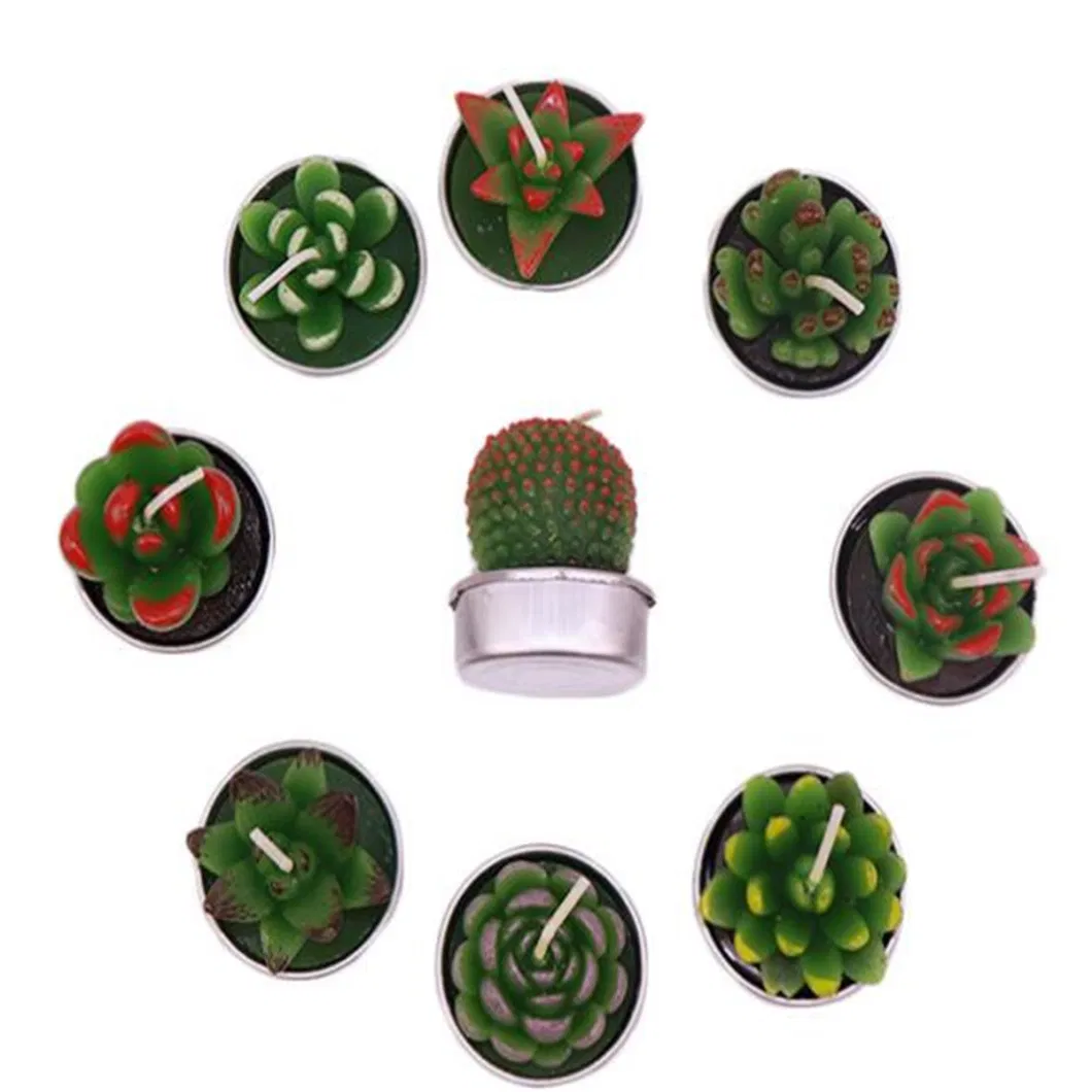 Hot Sale Cactus Cacti Wax Candle