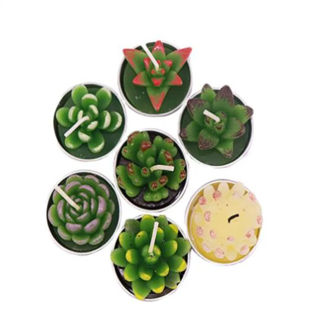 Hot Sale Cactus Cacti Wax Candle