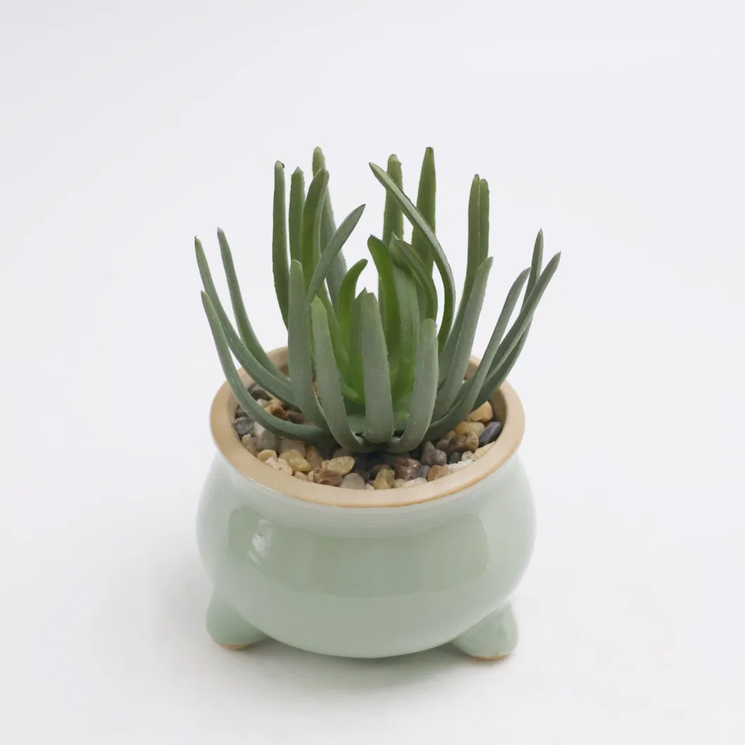 Negotiate Price Plastic Plant Succulent Plant Artificial Succulents for Outdoor Decor