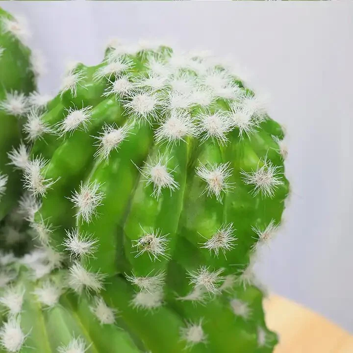 Succulent Potting Artificial Ball Cactus Small Desk Plant for Office Home Decoration