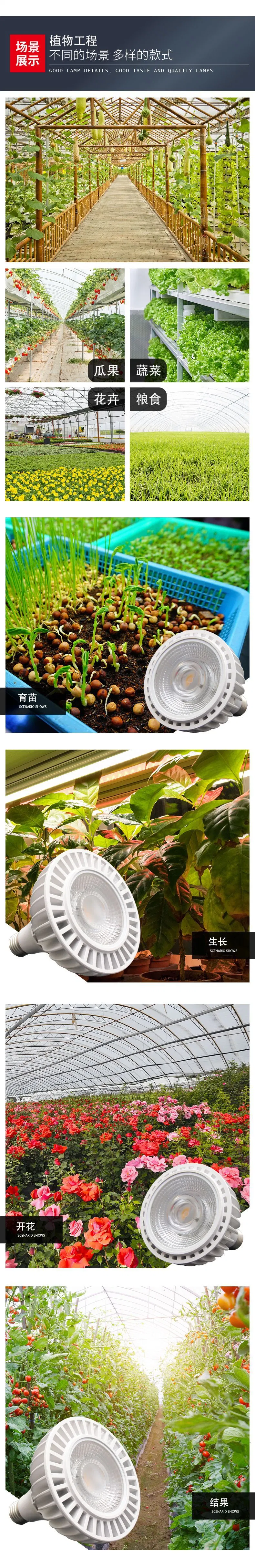 LED Plant Growth Light Full Spectrum PAR20PAR30PAR38 Indoor Succulent Pot Plant Fill Light