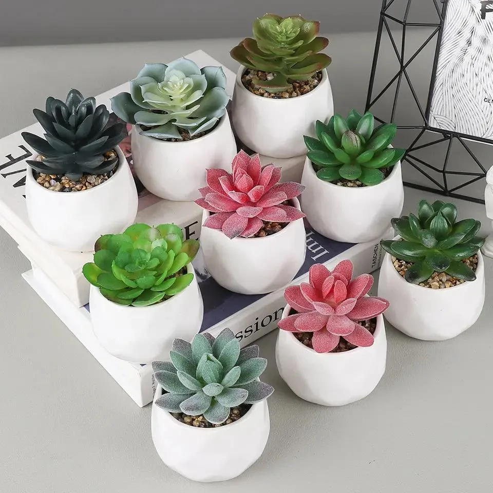 Small Artificial Plant Cactus Succulent Potted for Desk Decoration Room Ornament