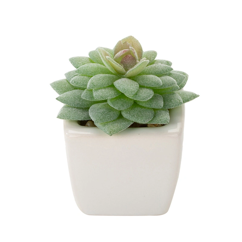 Indoor Design Brilliant White Ceramic Succulent Pots Customized Planter