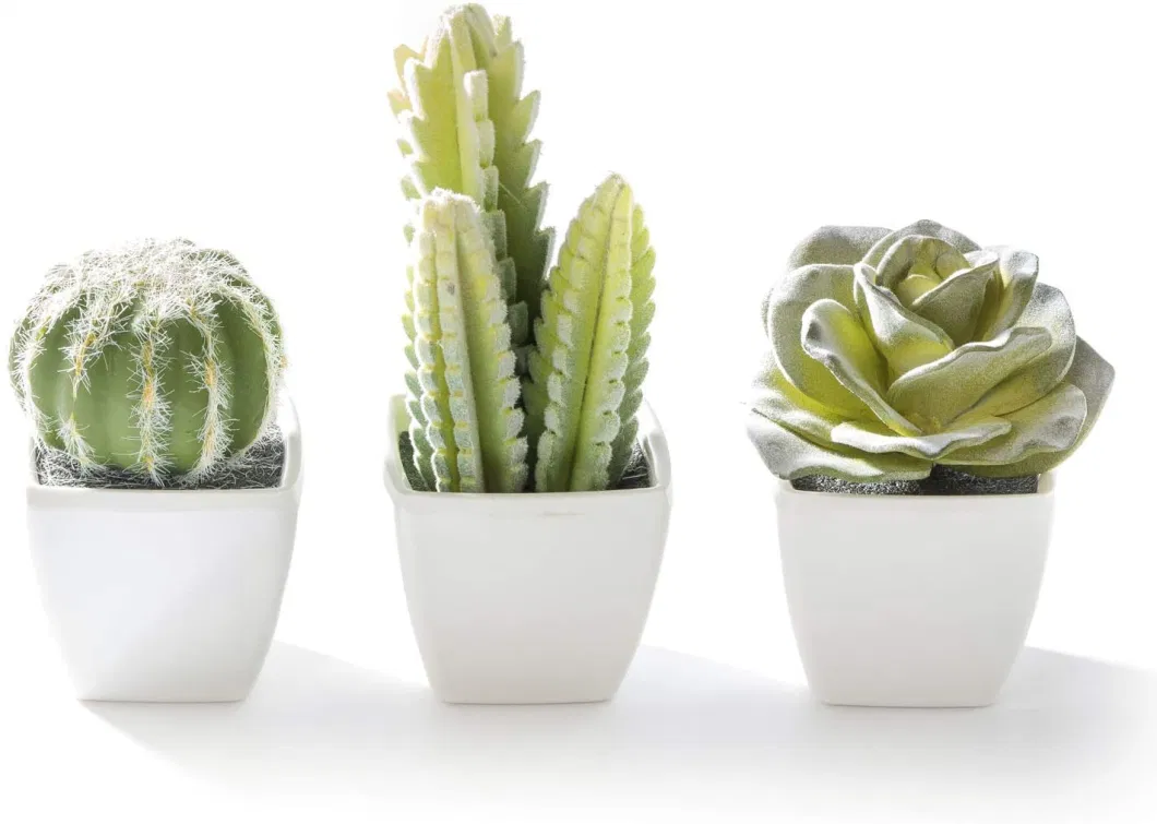 Home Decoration or Gift Artificial Plant Mini Succulent &amp; Cactus Plants in White Cube-Shaped Pots Series