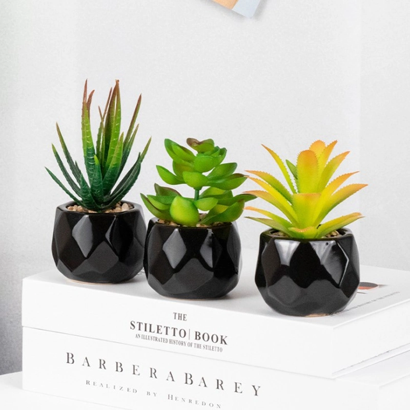 Mini Artificial Succulent Plants in Black Geometric Ceramic Planter Pots