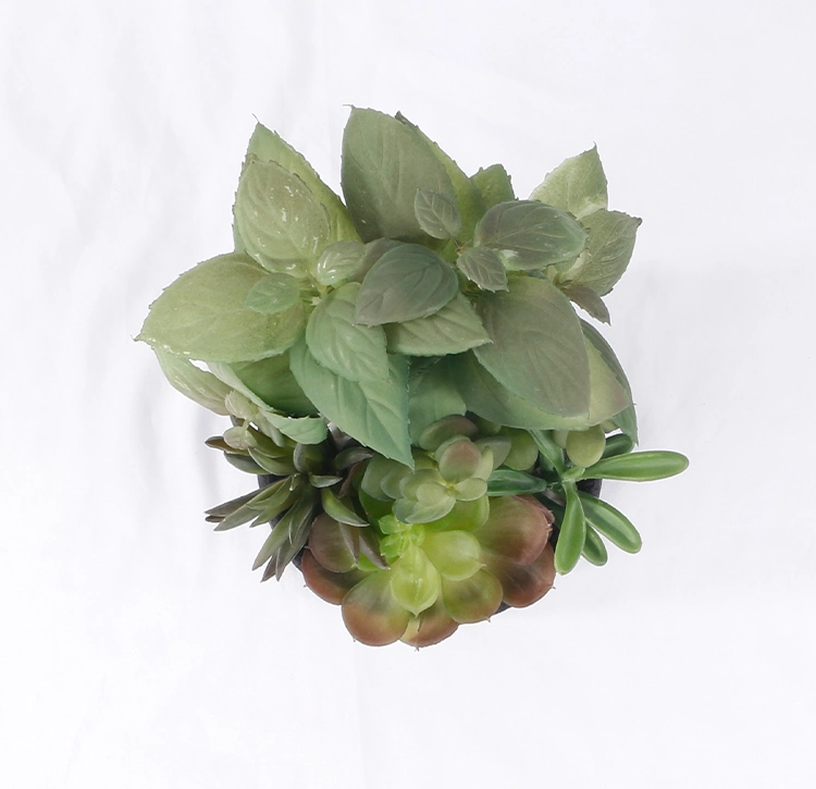 Mini Artificial Plants Faux Succulents Home Decor Korean Succulents