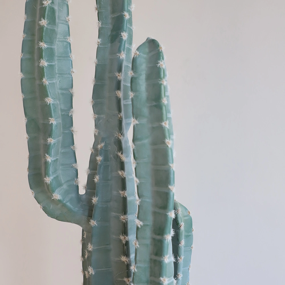 Artificial Gymnocalycium Mini Thailand Cactus Plants in Pots Bonsai Plants Potted