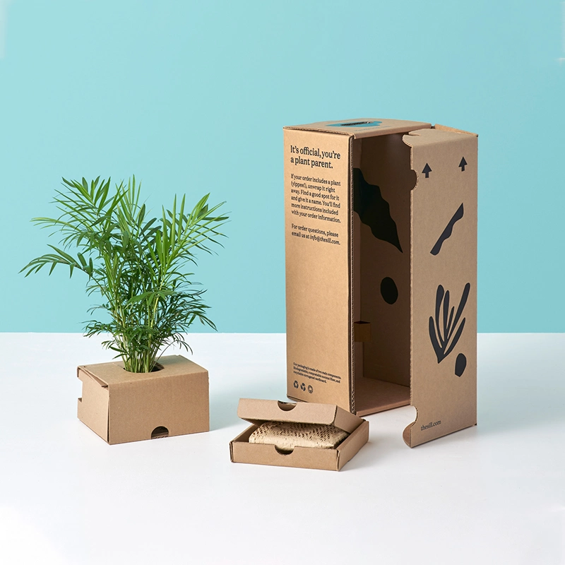 Custom Succulent Packaging Live Plant Kraft Paper Carton Cardboard Plants Shipping Box