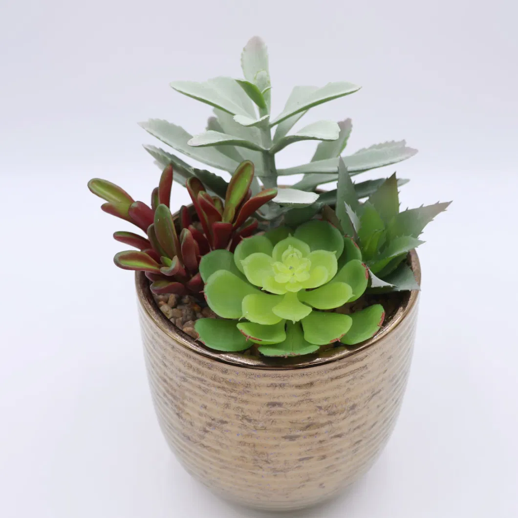 High Quality Artificial Mix Various of Succulent for Home Decorative