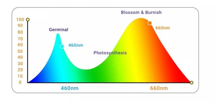 Hot New LED Light Clip Timing Full-Spectrum Sunlight Succulent Plant Seedling Fill Light Plant Growth Lamp Grow Lights