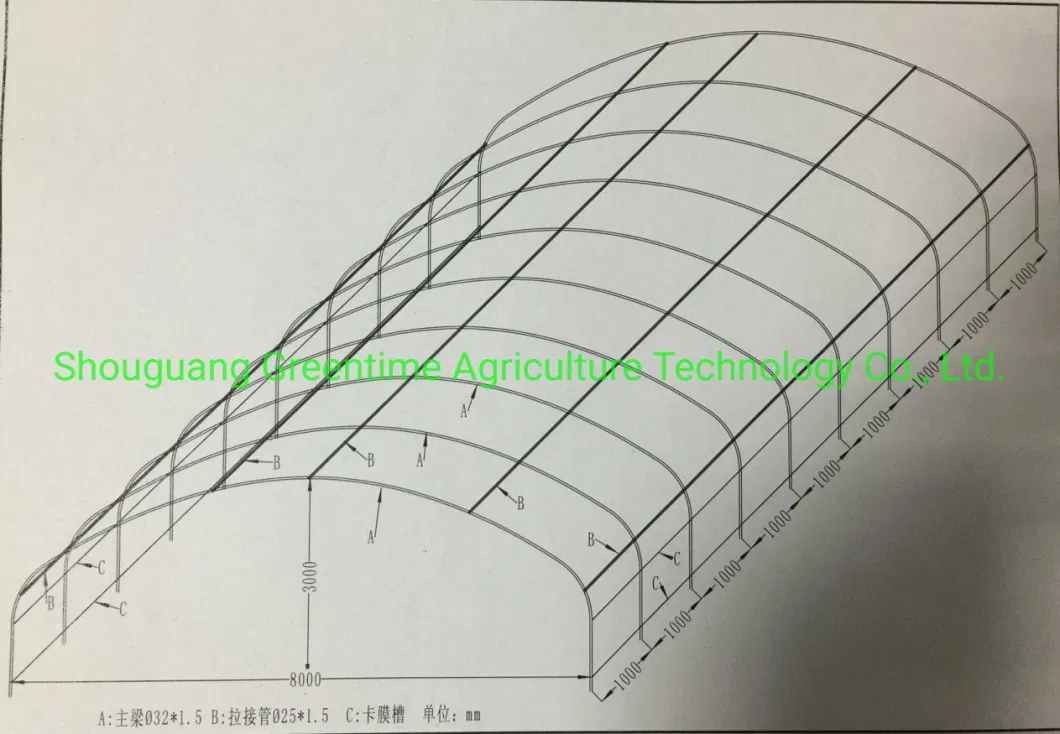 Single Span Tunnel Film Greenhouse with Single Layer Film for Cucumber