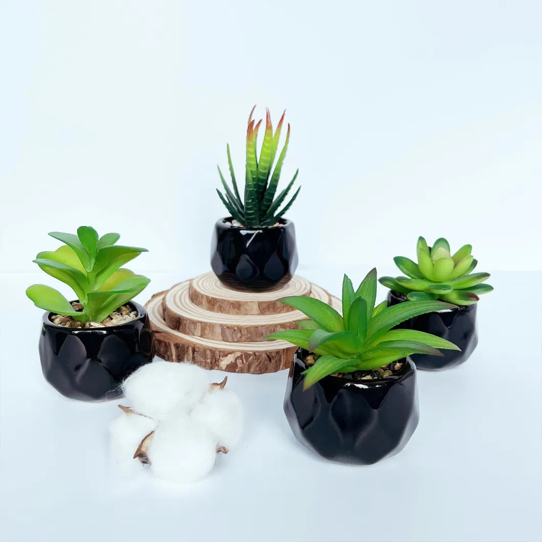 Indoor Wholesale Decoration Garden Wedding Gift Succulent Plant Artificial Plant