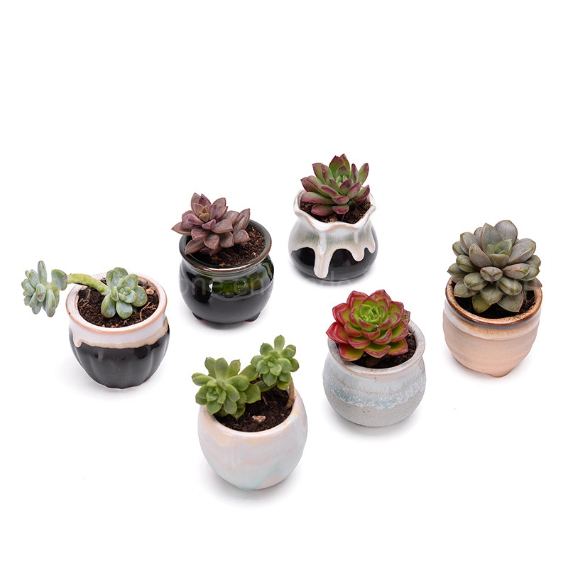 Cheap Price Snow Glazed Mini Ceramic Succulent Plant Pots Planter