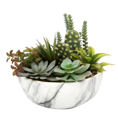 Домашний офис оформление небольших украшено растениями искусственного Succulents растений