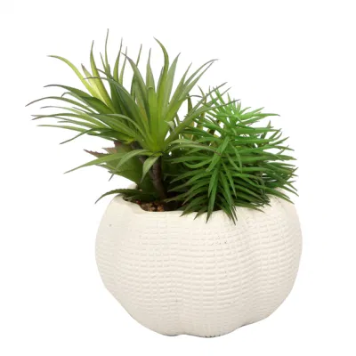 Домашний офис оформление небольших украшено растениями искусственного Succulents растений