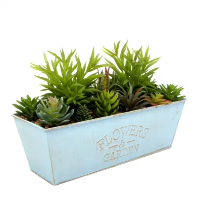 Домашний офис оформление небольших украшено растениями искусственного Succulents растений