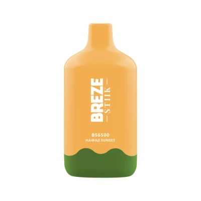 Оптовая торговля аккумулятор одноразовые Vape Breze Stiik BS 6500 отшелушивающей подушечкой портативный Vape с сочной персик льда вкус