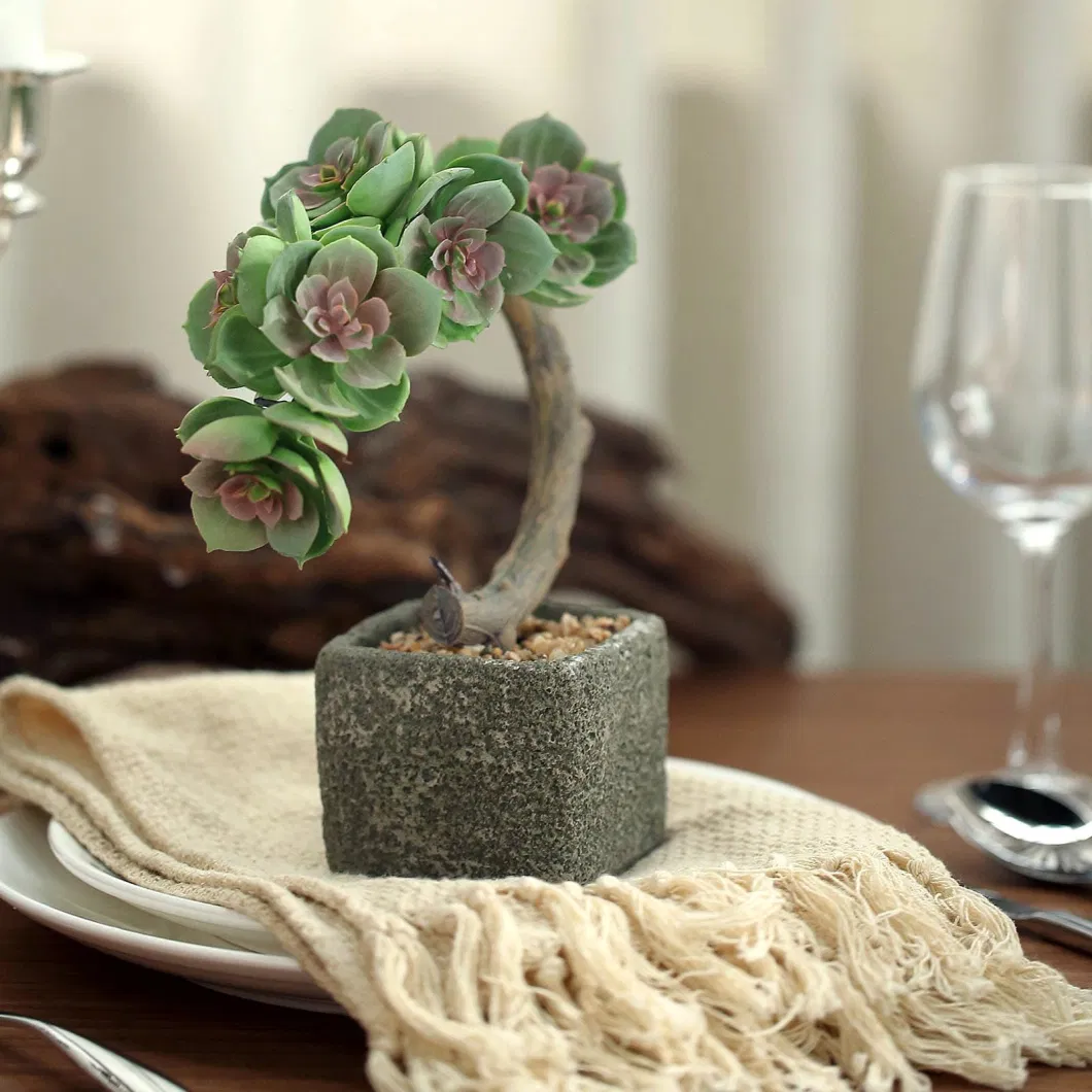 Concrete Planter Pot and Willow Tree Succulent Palnt 2023 Design Artificial Plant