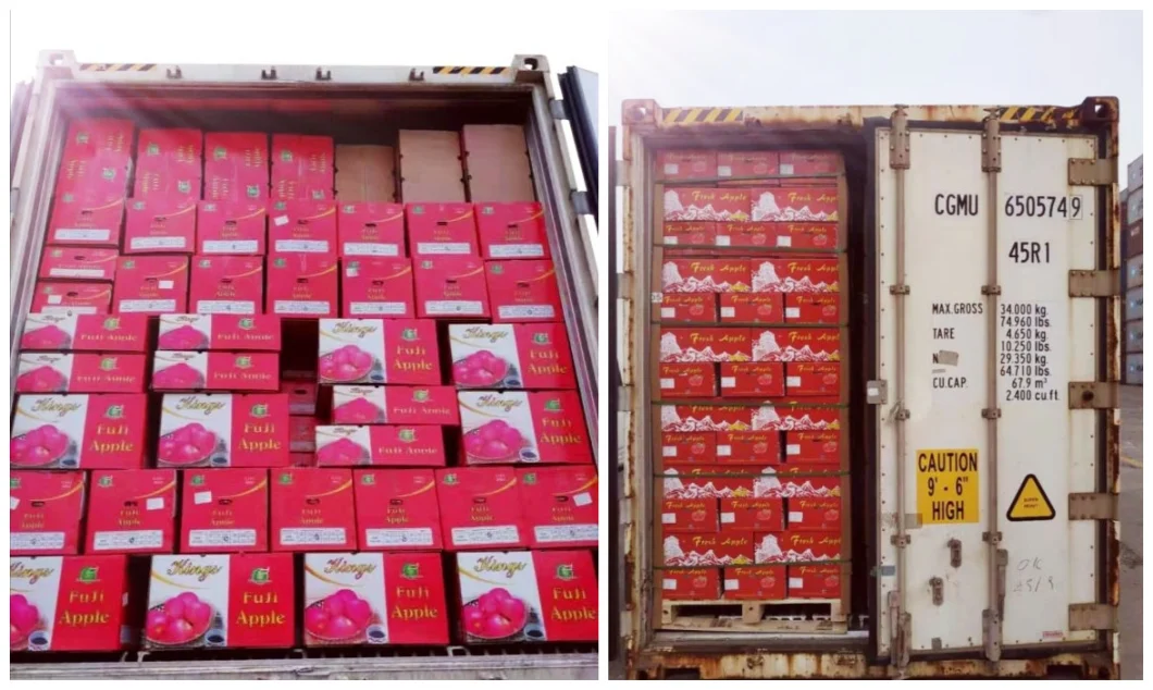 Wholesome Red Apples: Fresh and Packed in Cartons