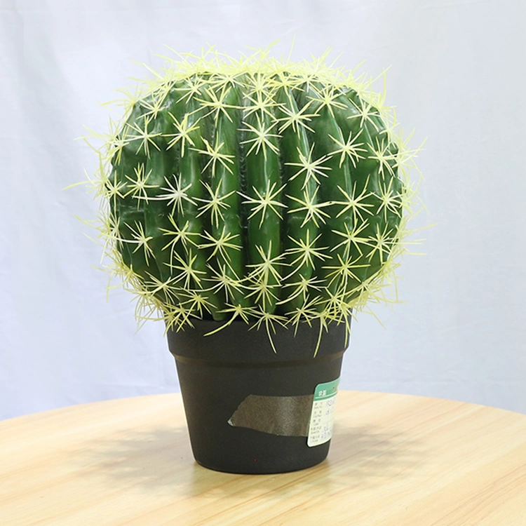 Diameter 27cm Ball Cactus Mini Artificial Export Cactus for Plastic Barbed Type