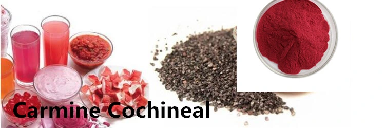 Colorant Cochineal/Carmine Powder/Cochineal Carmine Acid Red