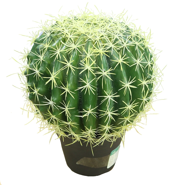 Diameter 27cm Ball Cactus Mini Artificial Export Cactus for Plastic Barbed Type