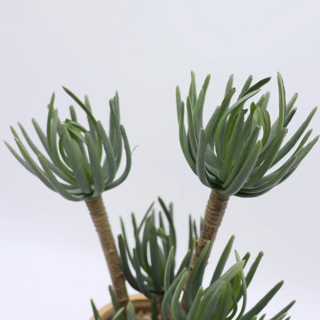 Home Decor Lifelike Artificial Succulent Plants Potted Faux Plant Succulent Plants