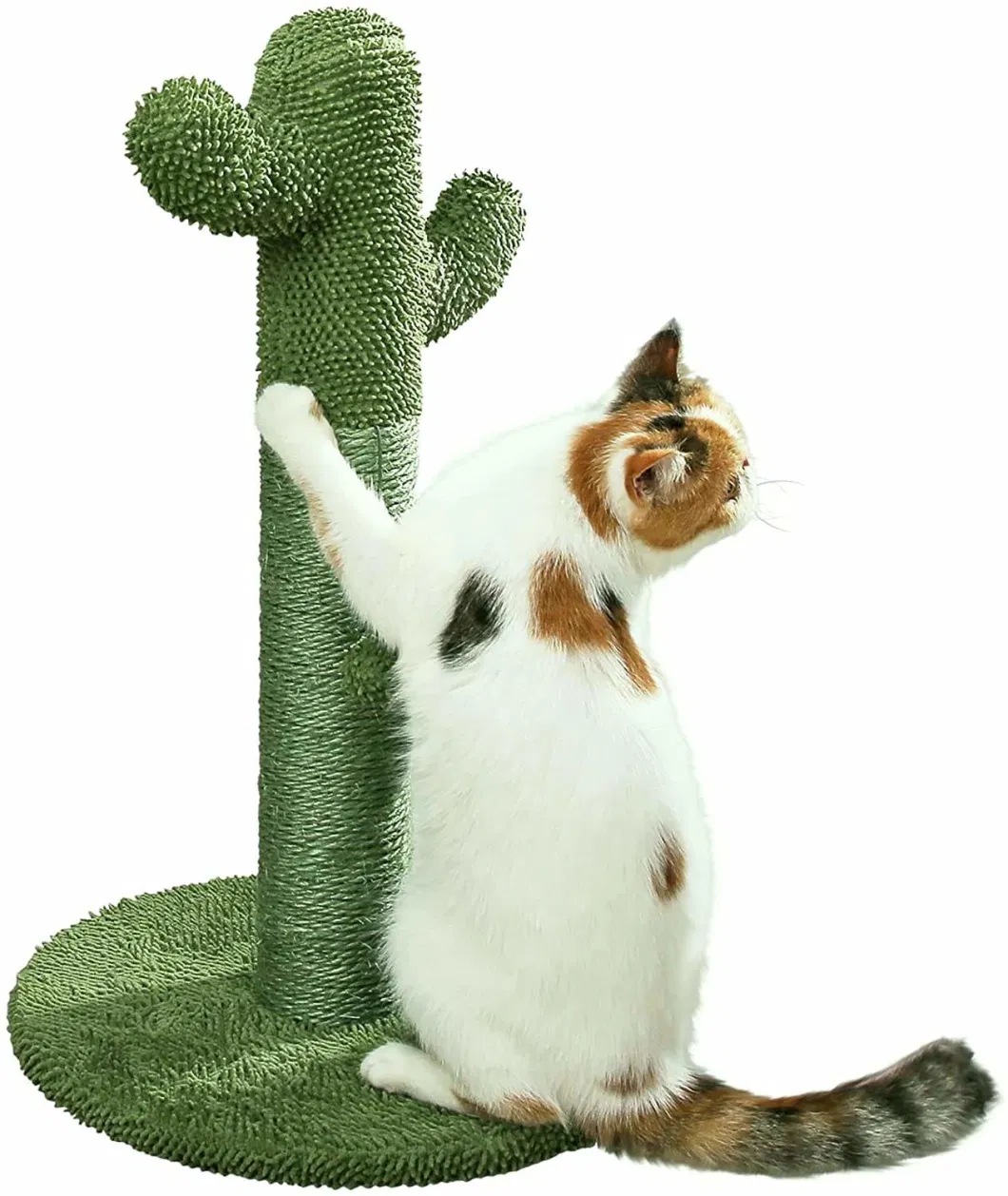 Cat Scratching Post, Cactus Cat Scratcher Kitten Scratching Post