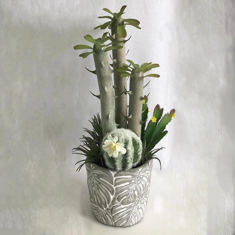 43cm High Mini Decoration Round Cement Pot Cactus