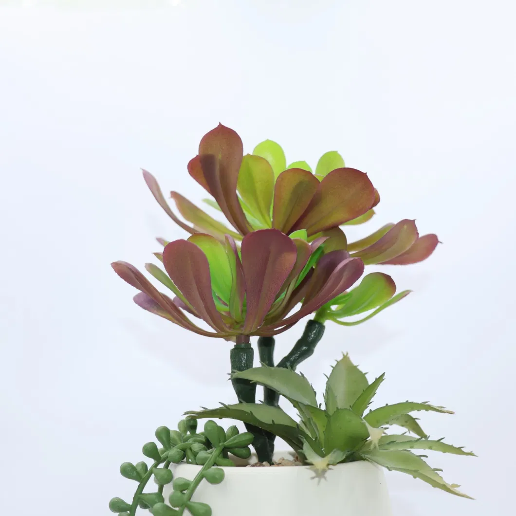 Wholesale Small Artificial Plants Potted Succulents for Desk Decoration