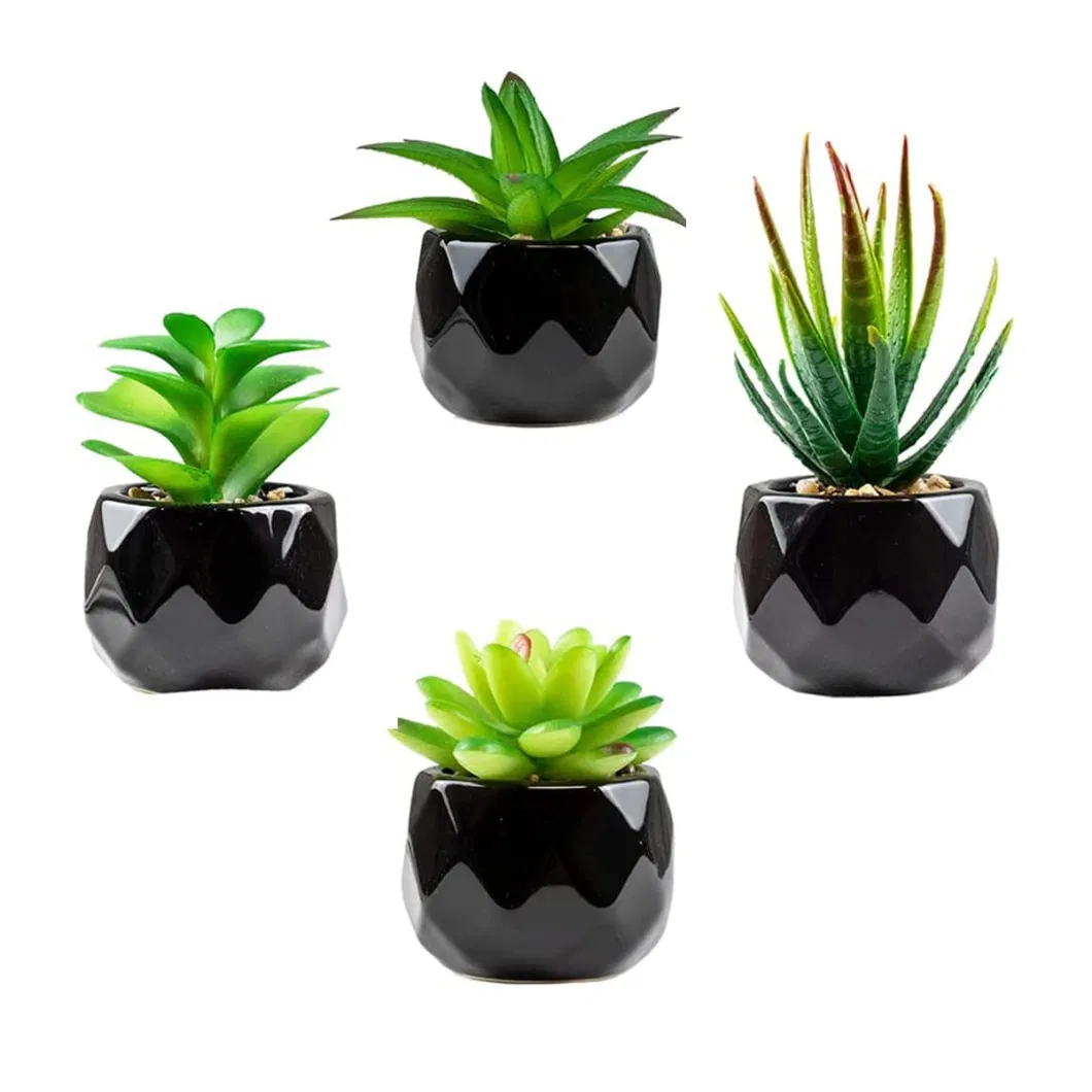 Indoor Wholesale Decoration Garden Wedding Gift Succulent Plant Artificial Plant