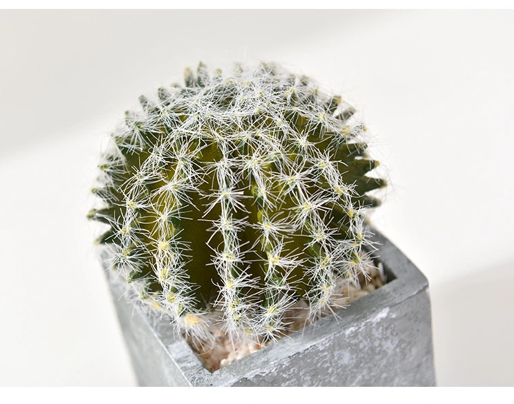 Faux Succulent Cactus Faked Air Plants with Gray Pots for Desktop