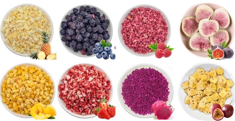 Organic Red Dragon Fruit Powder Freeze Dried Pink Pitaya Powder Red Pitaya Powder