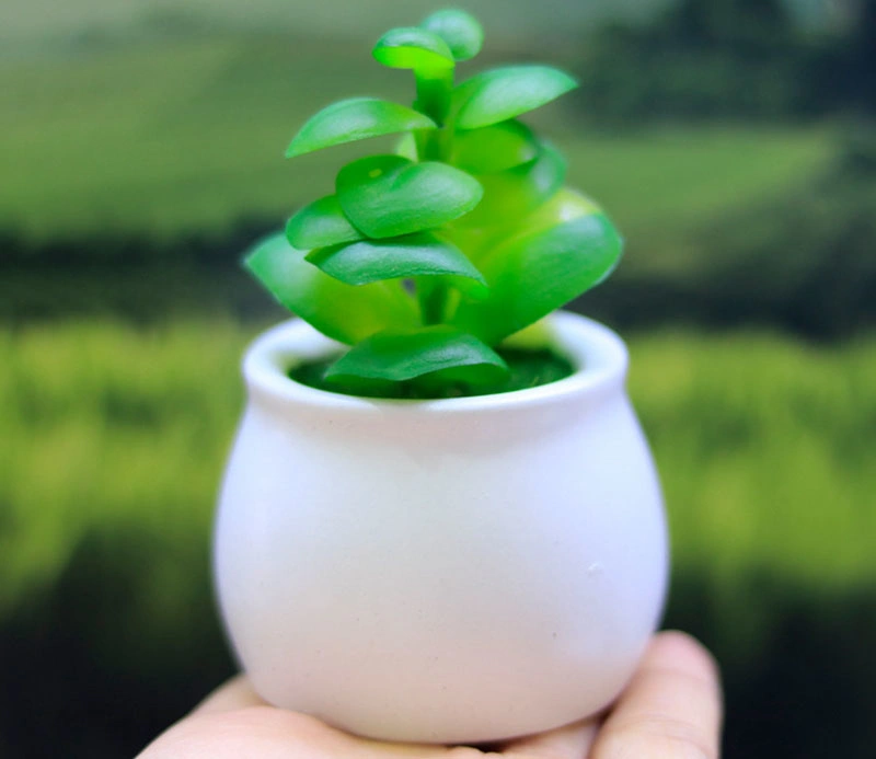 Mini Artificial Succulent Plants in Ceramics Planter Pots