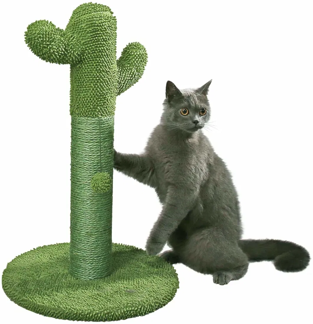 Cat Scratching Post, Cactus Cat Scratcher Kitten Scratching Post