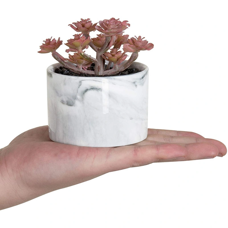 Mini Artificial Succulent Plants in Marbled Ceramic Planters, Set of 4