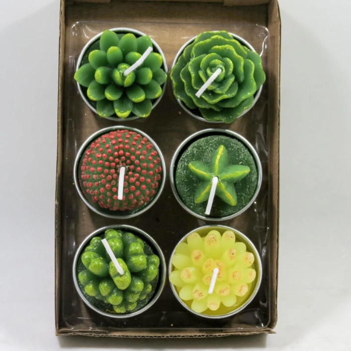 Shop Online China Product Paraffin Wax Cactus Candle 12PC in Box